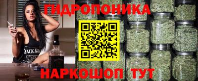 гидропоника Тара