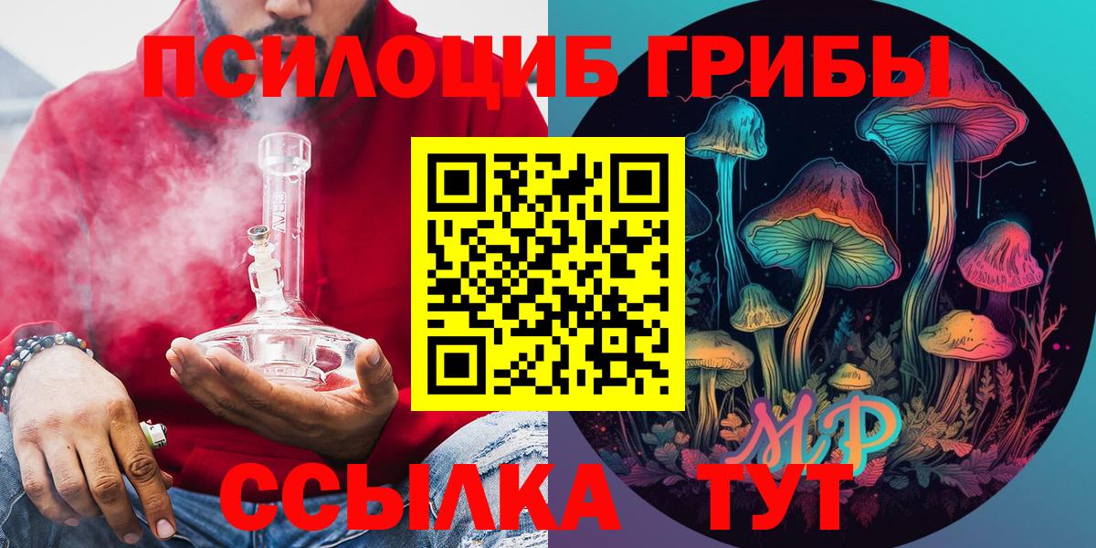 Галлюциногенные грибы Psilocybine cubensis Новоалександровск